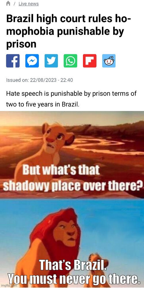 I’d have life in prison | That’s Brazil.  You must never go there. | image tagged in lion king light touches shadowy place kek | made w/ Imgflip meme maker