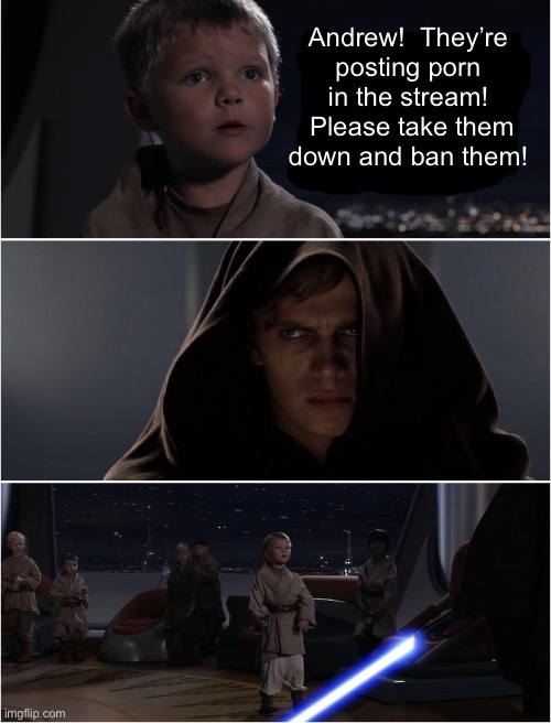 I’m playing with fire | Andrew!  They’re
posting porn in the stream!  Please take them down and ban them! | image tagged in master anakin too many youngling | made w/ Imgflip meme maker