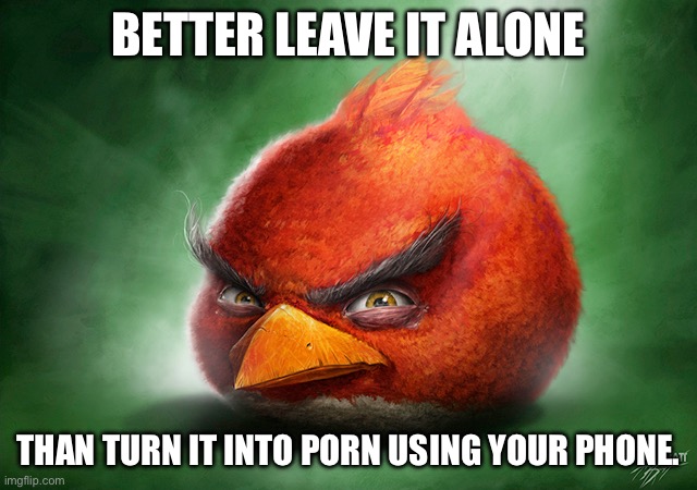GRRRR | BETTER LEAVE IT ALONE THAN TURN IT INTO PORN USING YOUR PHONE. | image tagged in grrrr | made w/ Imgflip meme maker