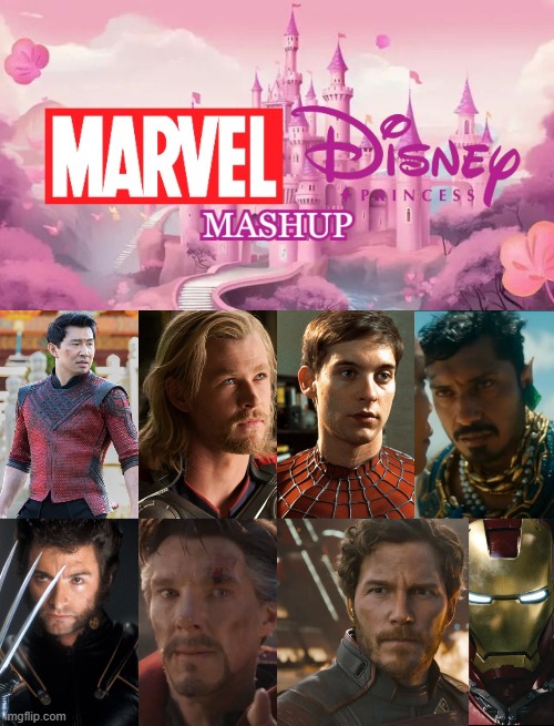 Marvel Prince (Disney and Marvel Mashup) Blank Meme Template