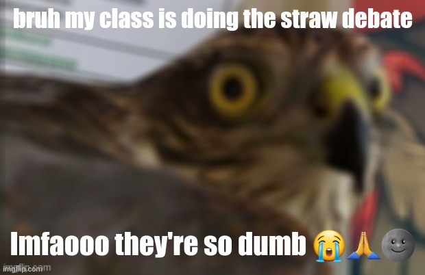 shocked bird | bruh my class is doing the straw debate; lmfaooo they're so dumb 😭🙏🌚 | image tagged in shocked bird | made w/ Imgflip meme maker