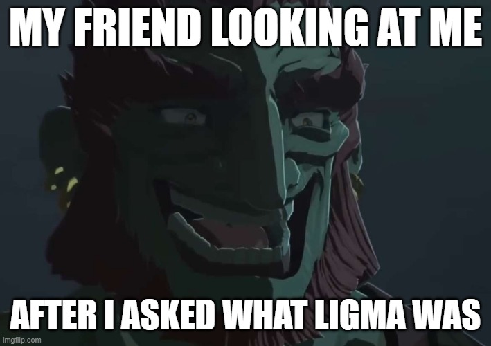 Nooo not ligma again | MY FRIEND LOOKING AT ME; AFTER I ASKED WHAT LIGMA WAS | image tagged in ganondorf trollface,funny memes,memes,legend of zelda,gaming,funny | made w/ Imgflip meme maker