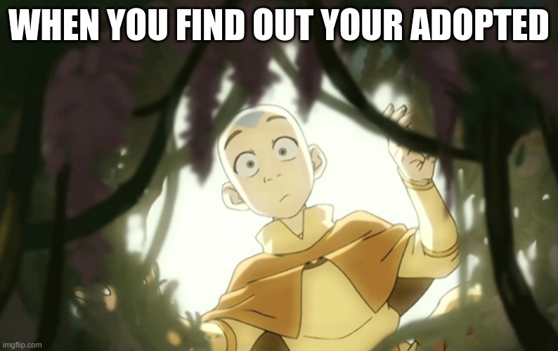 When You Find Out Your Adopted | WHEN YOU FIND OUT YOUR ADOPTED | image tagged in avatar the last airbender | made w/ Imgflip meme maker