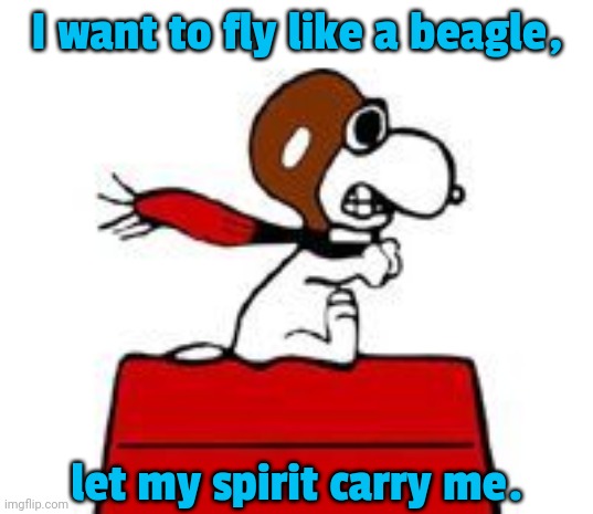 Into the future. | I want to fly like a beagle, let my spirit carry me. | image tagged in snoopy,song lyrics,parody,steve miller band,ace,camel | made w/ Imgflip meme maker