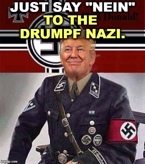 Nazis don't vote Democratic. | JUST SAY "NEIN"; TO THE 
DRUMPF NAZI. | image tagged in reich,nazi,trump,jus say no | made w/ Imgflip meme maker