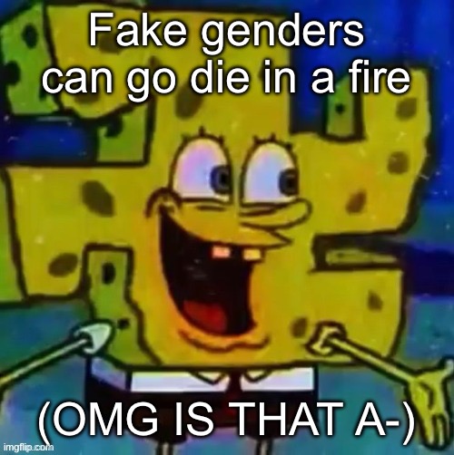 nazi SpongeBob | Fake genders can go die in a fire; (OMG IS THAT A-) | image tagged in nazi spongebob | made w/ Imgflip meme maker