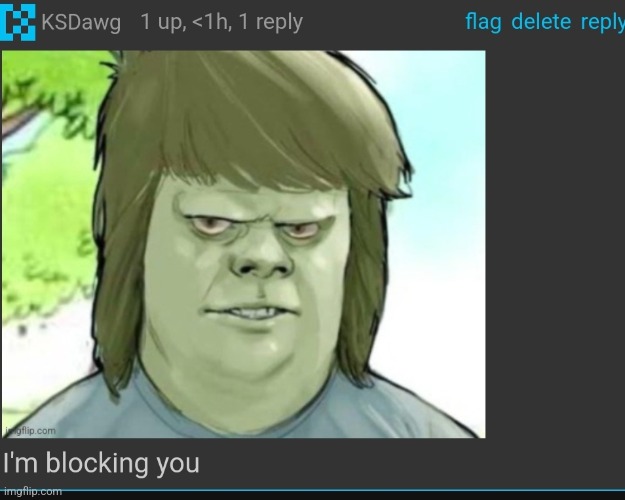 I'm blocking you | image tagged in i'm blocking you | made w/ Imgflip meme maker