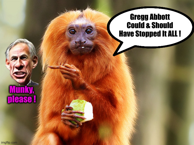 monkey pointing finger | Gregg Abbott Could & Should Have Stopped It ALL ! Munky, please ! | image tagged in monkey pointing finger | made w/ Imgflip meme maker