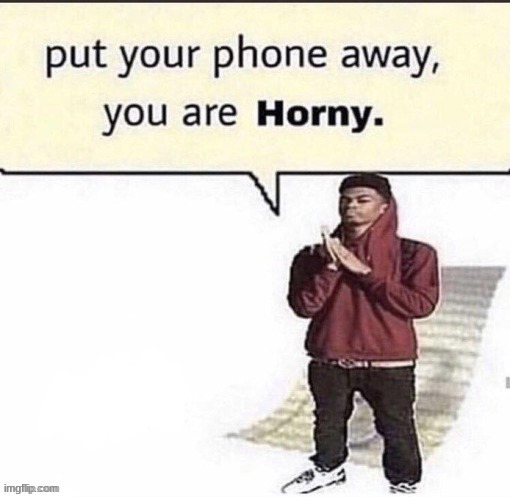 Put your phone away, you are horny | image tagged in put your phone away you are horny | made w/ Imgflip meme maker