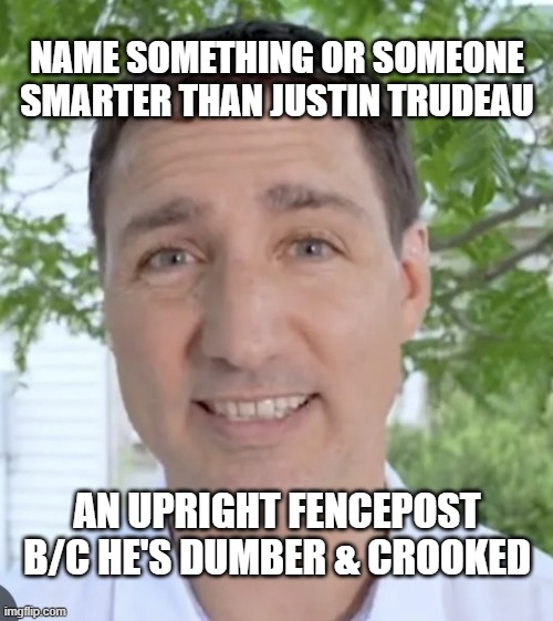 NAME SOMETHING OR SOMEONE SMARTER THAN JUSTIN TRUDEAU; AN UPRIGHT FENCEPOST B/C HE'S DUMBER & CROOKED | made w/ Imgflip meme maker