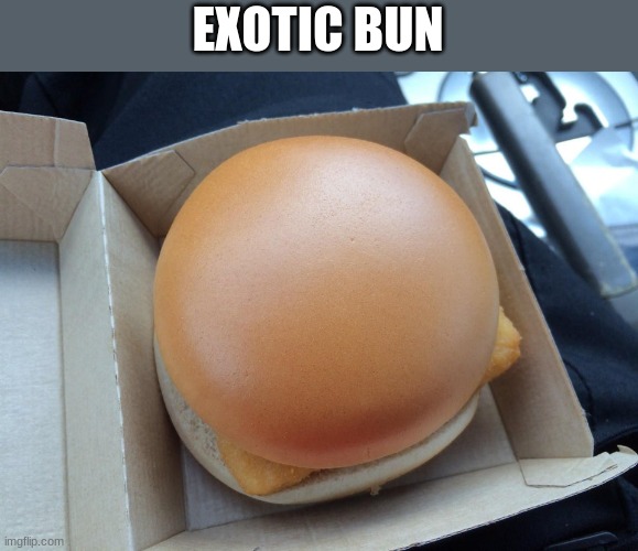 if someone says something looks so good they cant eat it, they either hate the food or its this | EXOTIC BUN | image tagged in smooth burger | made w/ Imgflip meme maker