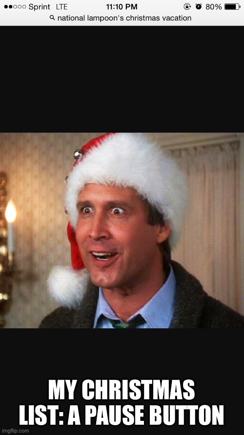 chevy chase christmas | MY CHRISTMAS LIST: A PAUSE BUTTON | image tagged in chevy chase christmas | made w/ Imgflip meme maker
