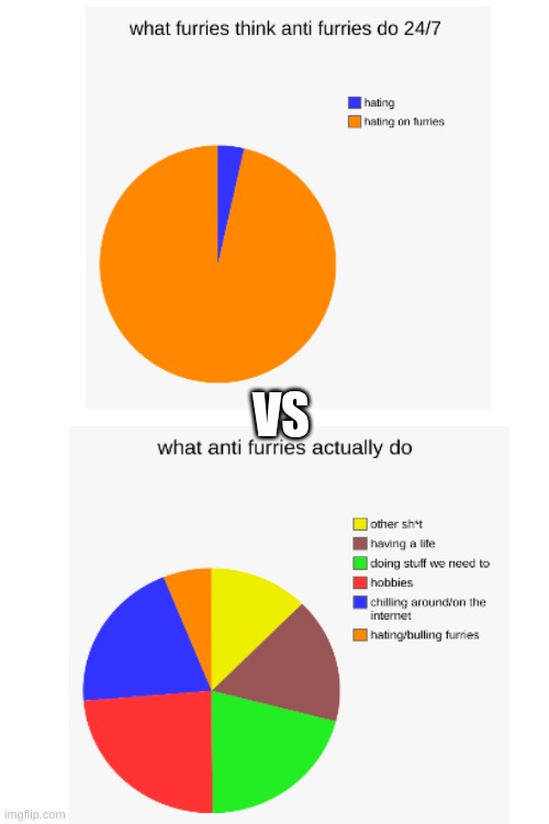 what they think we do vs what we do | VS | image tagged in pie charts,anti furry,memes,funny,real,true | made w/ Imgflip meme maker