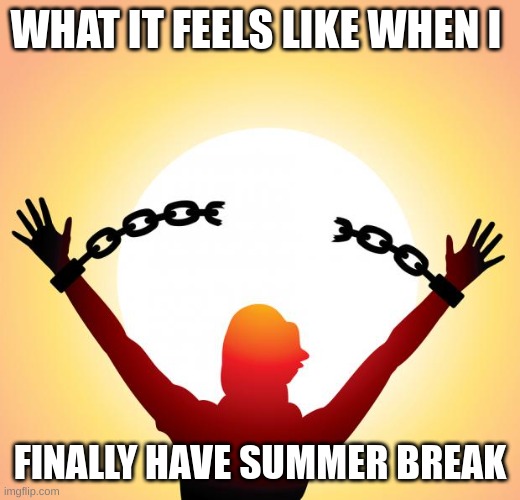 Bye BYE Im FREEEEEEEEEE | WHAT IT FEELS LIKE WHEN I; FINALLY HAVE SUMMER BREAK | image tagged in freedom,funny,real,school,memes,summer | made w/ Imgflip meme maker