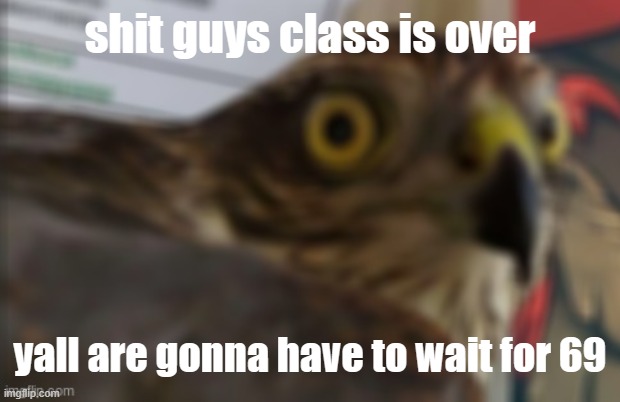 shocked bird | shit guys class is over; yall are gonna have to wait for 69 | image tagged in shocked bird | made w/ Imgflip meme maker