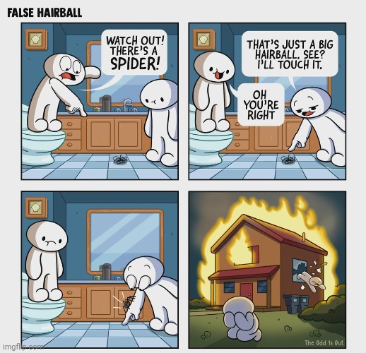Hairball | image tagged in spiders,spider,theodd1sout,comics,comics/cartoons,hairball | made w/ Imgflip meme maker