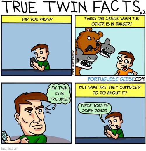 Twins | image tagged in twins,twin,comics,comics/cartoons,danger,trouble | made w/ Imgflip meme maker