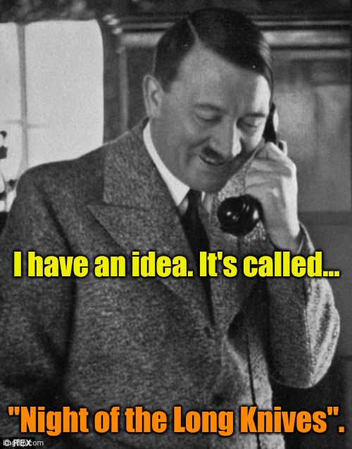 Hitler Phone | I have an idea. It's called... "Night of the Long Knives". | image tagged in hitler phone | made w/ Imgflip meme maker