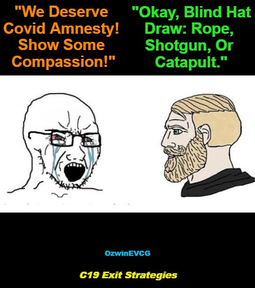 C19 Exit Strategies | "Okay, Blind Hat

Draw: Rope, 

Shotgun, Or 

Catapult."; "We Deserve 

Covid Amnesty! 

Show Some 

Compassion!"; OzwinEVCG; C19 Exit Strategies | image tagged in covid,corruption,tyranny,vaccines,no covid amnesty,fair trials and fluffy pillows | made w/ Imgflip meme maker