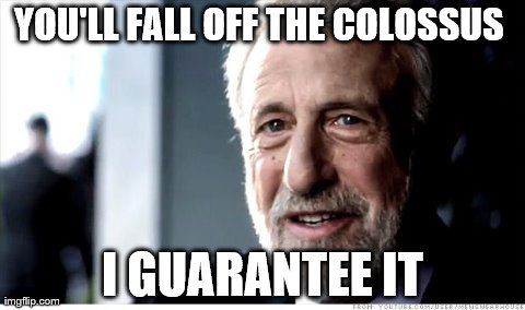 Shadow of the Colossus  | YOU'LL FALL OFF THE COLOSSUS  I GUARANTEE IT | image tagged in memes,i guarantee it | made w/ Imgflip meme maker