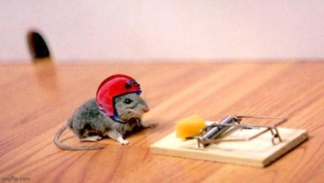 Mouse Trap | image tagged in mouse trap | made w/ Imgflip meme maker