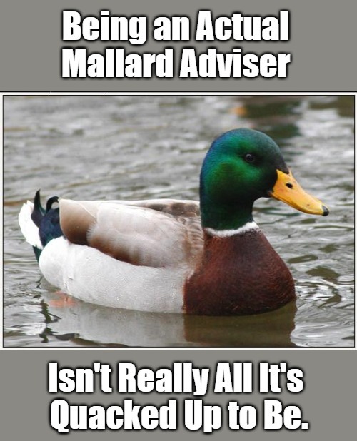 Pondside Confessions | image tagged in actual advice mallard,memes,now that you asked,animals,pondside confession,the more you know | made w/ Imgflip meme maker