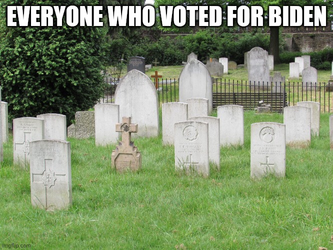 Grave yard | EVERYONE WHO VOTED FOR BIDEN | image tagged in grave yard | made w/ Imgflip meme maker