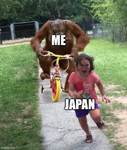 Orangutan chasing girl on a tricycle | ME JAPAN | image tagged in orangutan chasing girl on a tricycle | made w/ Imgflip meme maker