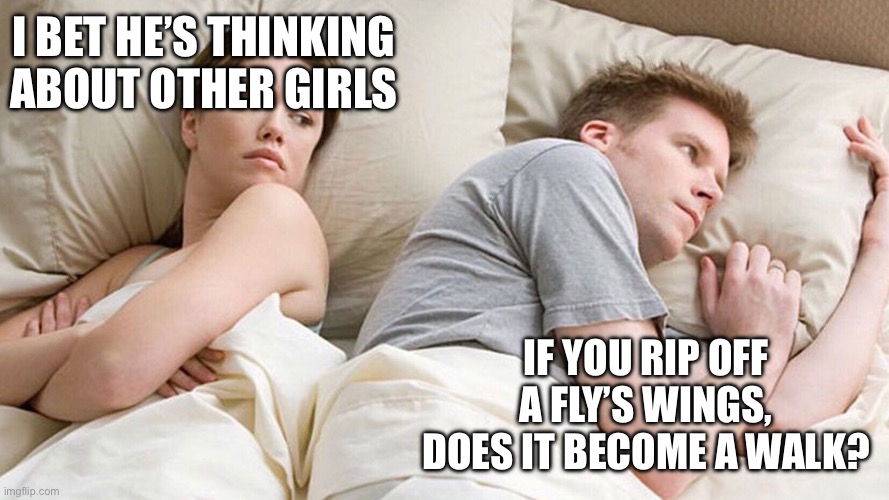 He's probably thinking about girls | I BET HE’S THINKING ABOUT OTHER GIRLS; IF YOU RIP OFF A FLY’S WINGS, DOES IT BECOME A WALK? | image tagged in he's probably thinking about girls | made w/ Imgflip meme maker