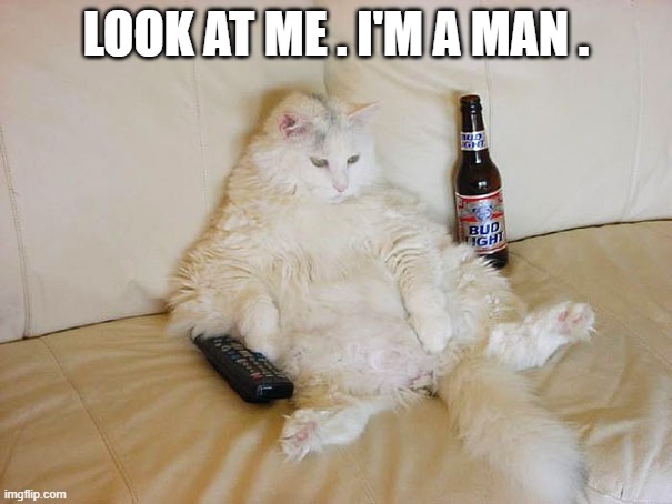 memes by Brad - Cat trying to be a man - humor | LOOK AT ME . I'M A MAN . | image tagged in funny,fun,funny cat memes,kittens,cat,humor | made w/ Imgflip meme maker
