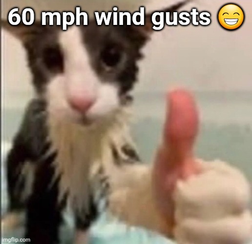 prob more or less idk | 60 mph wind gusts 😁 | image tagged in cat thumbs up | made w/ Imgflip meme maker