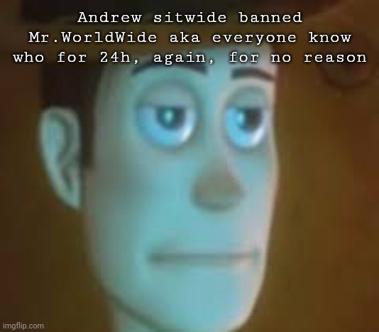disappointed woody | Andrew sitwide banned Mr.WorldWide aka everyone know who for 24h, again, for no reason | image tagged in disappointed woody | made w/ Imgflip meme maker