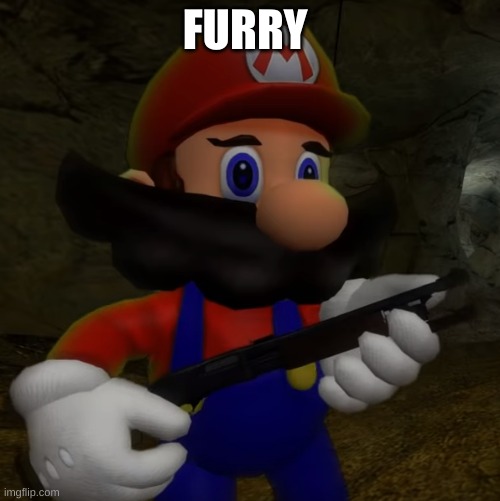 Mario with Shotgun | FURRY | image tagged in mario with shotgun | made w/ Imgflip meme maker