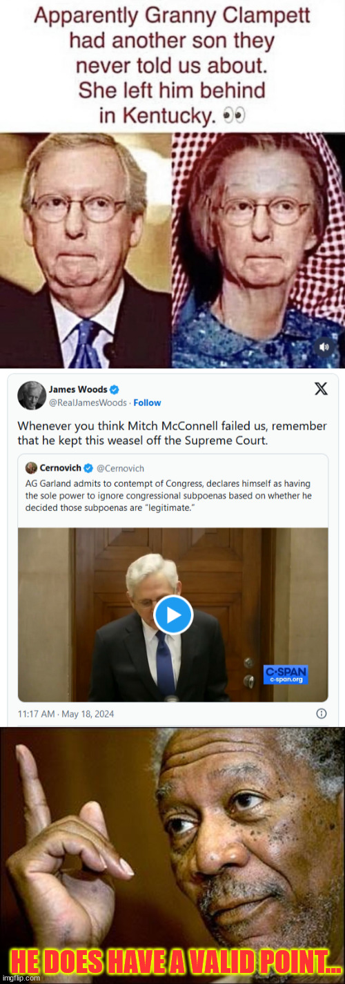 Woods is right... again. | HE DOES HAVE A VALID POINT... | image tagged in this morgan freeman,garland,is a weasel,woods is right | made w/ Imgflip meme maker