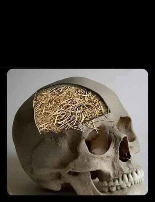 High Quality SKULL WITH STRAW Blank Meme Template