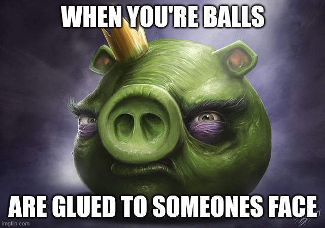 Angry Birds Realistic King Pig | WHEN YOU'RE BALLS; ARE GLUED TO SOMEONES FACE | image tagged in angry birds realistic king pig | made w/ Imgflip meme maker