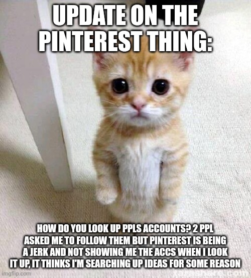 I need help guys :( | UPDATE ON THE PINTEREST THING:; HOW DO YOU LOOK UP PPLS ACCOUNTS? 2 PPL ASKED ME TO FOLLOW THEM BUT PINTEREST IS BEING A JERK AND NOT SHOWING ME THE ACCS WHEN I LOOK IT UP, IT THINKS I'M SEARCHING UP IDEAS FOR SOME REASON | image tagged in memes,cute cat | made w/ Imgflip meme maker
