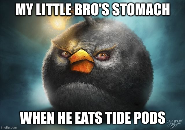 pods | MY LITTLE BRO'S STOMACH; WHEN HE EATS TIDE PODS | image tagged in angry birds bomb,tide pods | made w/ Imgflip meme maker