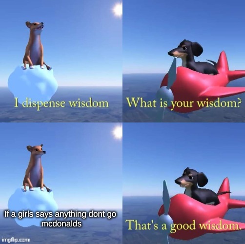 Wisdom dog | If a girls says anything dont go
 mcdonalds | image tagged in wisdom dog | made w/ Imgflip meme maker
