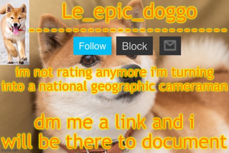epic doggo's temp back in old fashion | im not rating anymore i'm turning into a national geographic cameraman; dm me a link and i will be there to document | image tagged in epic doggo's temp back in old fashion | made w/ Imgflip meme maker
