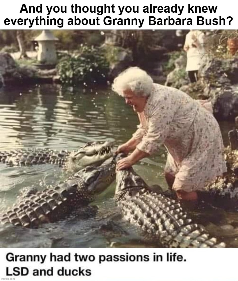 And you thought you already knew everything about Granny Barbara Bush? | image tagged in granny,barbara bush,lsd,crazy lady,batshit crazy,george w bush | made w/ Imgflip meme maker