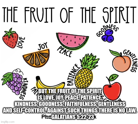 BUT THE FRUIT OF THE SPIRIT IS LOVE, JOY, PEACE, PATIENCE, KINDNESS, GOODNESS, FAITHFULNESS, GENTLENESS AND SELF-CONTROL. AGAINST SUCH THINGS THERE IS NO LAW.
—GALATIANS 5:22-23 | made w/ Imgflip meme maker