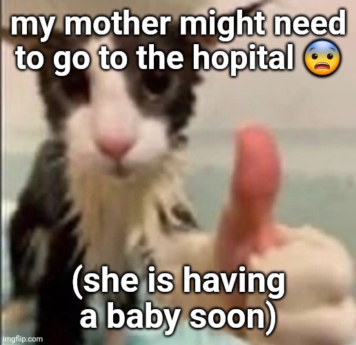 Cat thumbs up | my mother might need to go to the hopital 😨; (she is having a baby soon) | image tagged in cat thumbs up | made w/ Imgflip meme maker