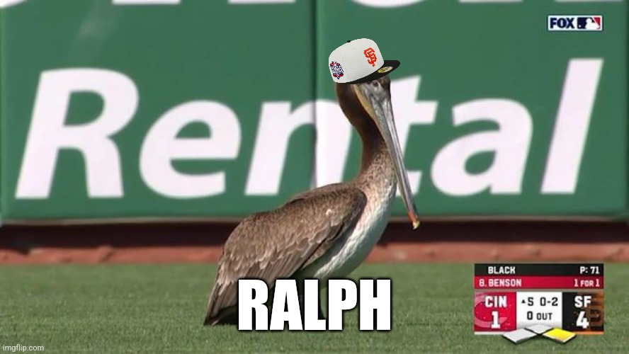 Ralph the rally pelican | RALPH | image tagged in san francisco giants,cincinnati reds,fox,baseball,mlb | made w/ Imgflip meme maker