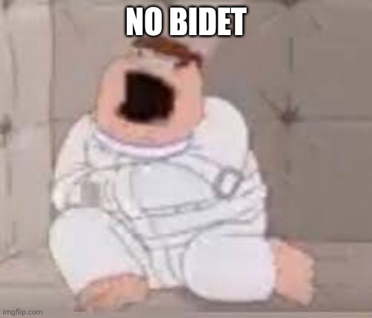 Peter Griffin insane asylum | NO BIDET | image tagged in peter griffin insane asylum | made w/ Imgflip meme maker