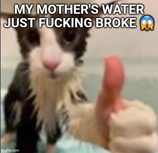 RIGHT AFTER I FUCKING POSTED ABOUT IT TOO | MY MOTHER'S WATER JUST FUCKING BROKE 😱 | image tagged in cat thumbs up | made w/ Imgflip meme maker