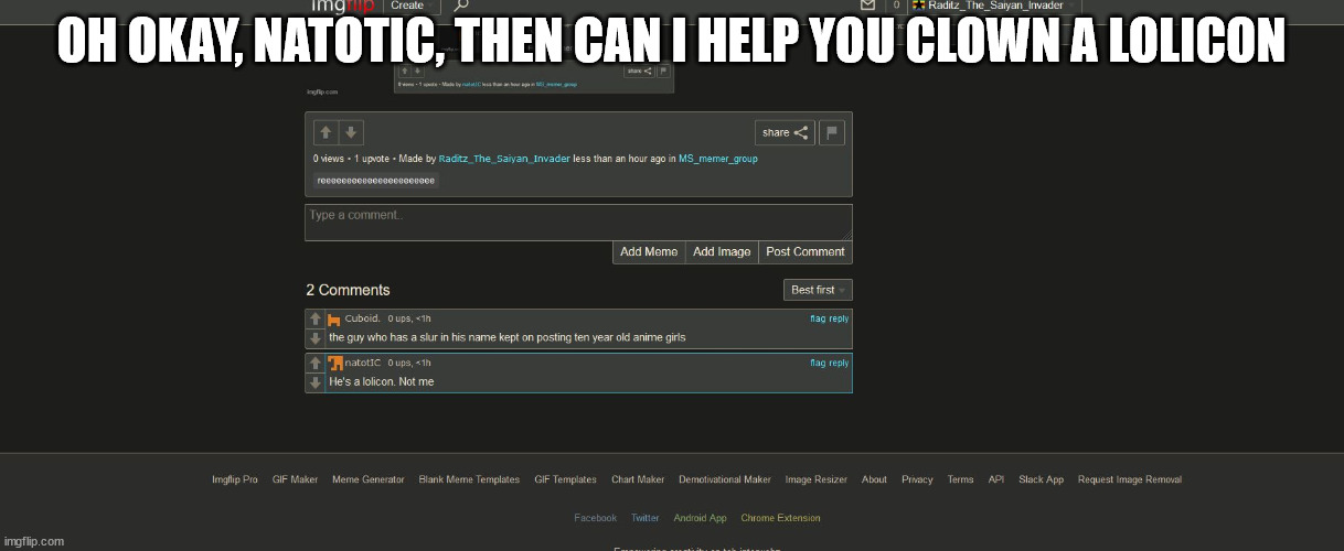 OH OKAY, NATOTIC, THEN CAN I HELP YOU CLOWN A LOLICON | image tagged in reeeeeeeeeeeeeeeeeeeeee | made w/ Imgflip meme maker