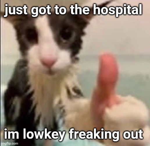 Cat thumbs up | just got to the hospital; im lowkey freaking out | image tagged in cat thumbs up | made w/ Imgflip meme maker