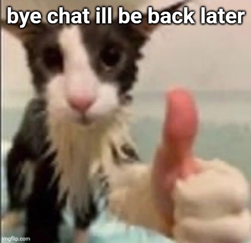 Cat thumbs up | bye chat ill be back later | image tagged in cat thumbs up | made w/ Imgflip meme maker