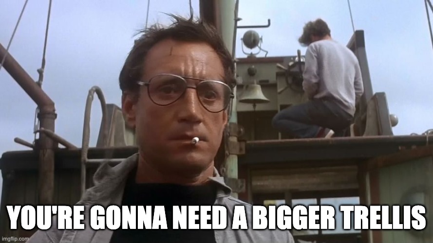 Bigger Trellis | YOU'RE GONNA NEED A BIGGER TRELLIS | image tagged in going to need a bigger boat,gardening,vine | made w/ Imgflip meme maker